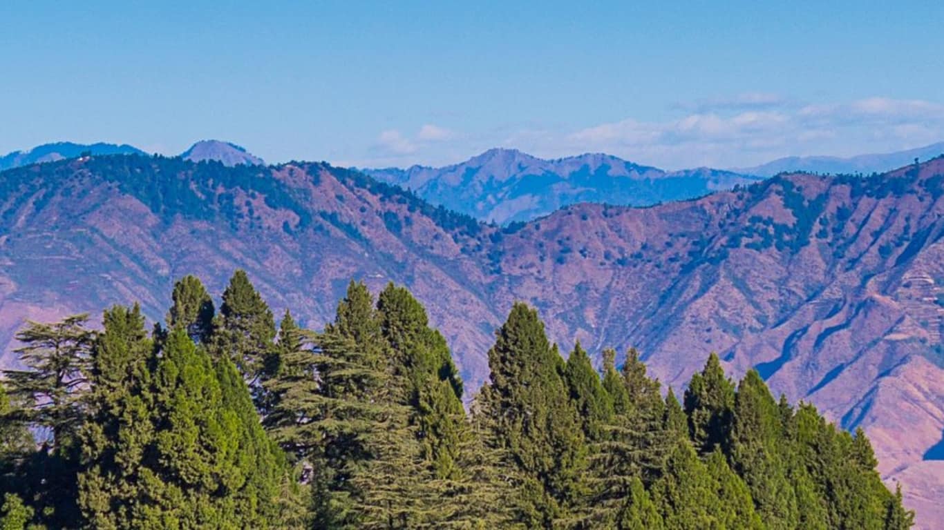 barlowganj mussoorie