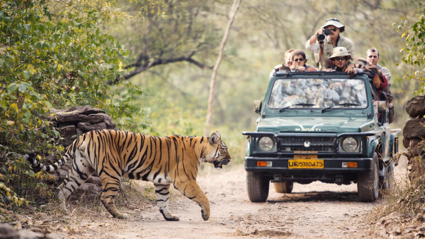 Raja Ji national park