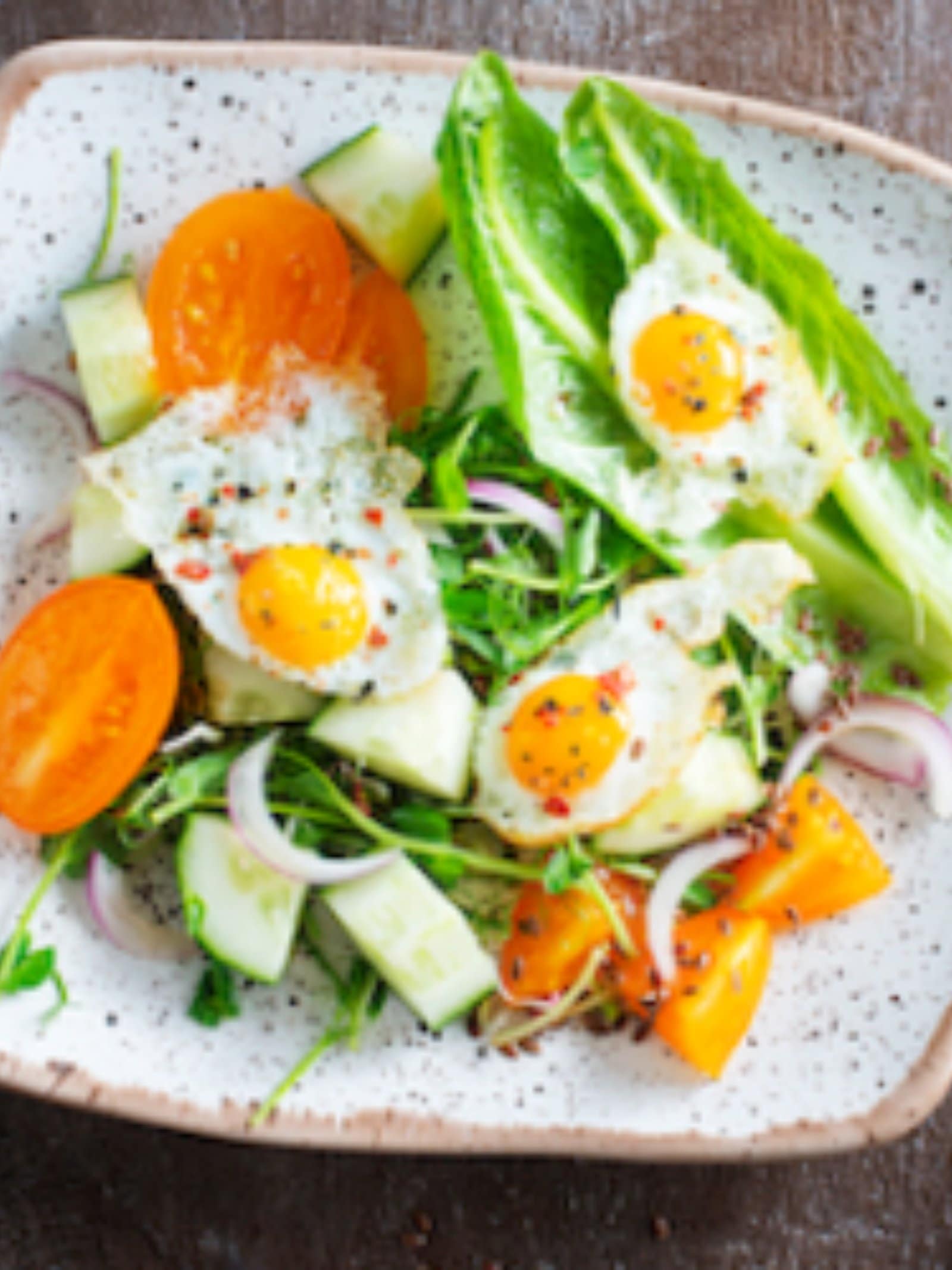 Best Cafes for Working Professionals in Dehradun